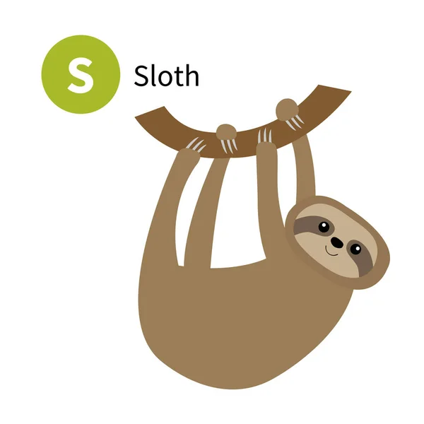 Sloth Lettre Zoo Alphabet Animal Abc Anglais Avec Dessin Animé — Image vectorielle