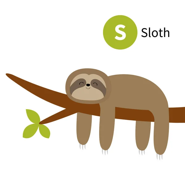 Lettre Sloth Alphabet Animal Zoo Abc Anglais Avec Dessin Animé — Image vectorielle