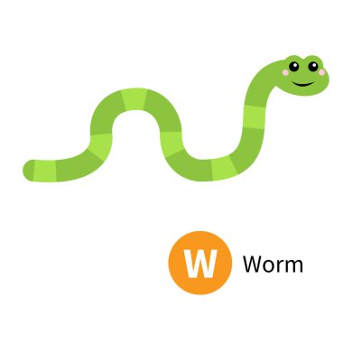 W. Worm harfi. Hayvanat bahçesi hayvan alfabesi. Şirin kawaii çizgi filmiyle İngiliz alfabesi komik yavru böcek hayvanları. Çocuklar için eğitim kartları. İzole edilmiş. Beyaz arka plan. Düz dizayn. Vektör illüstrasyonu