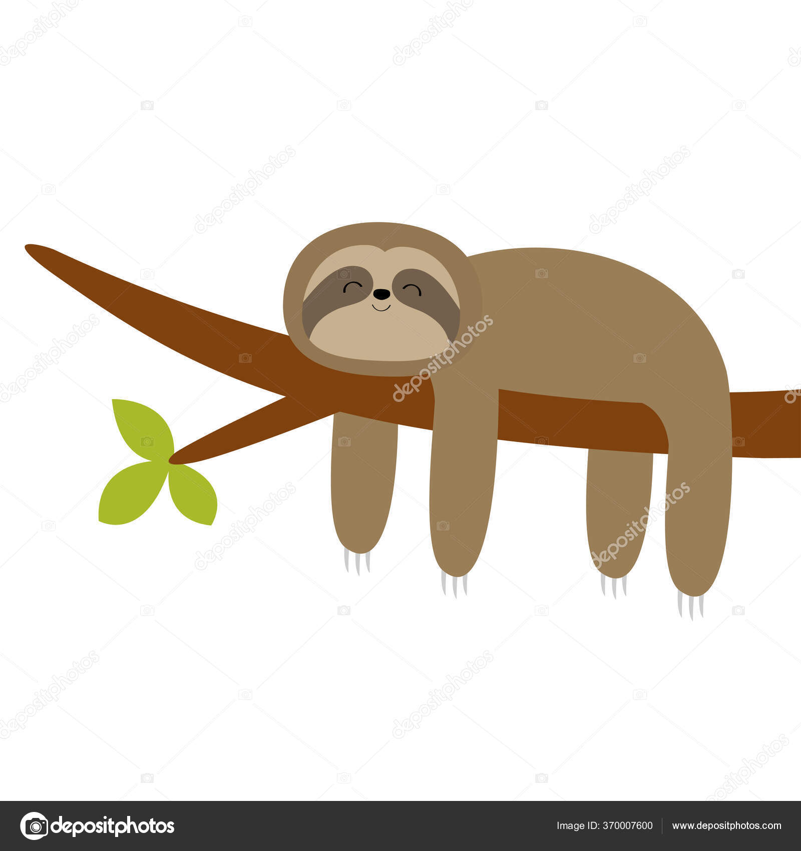 Sloth Hanging Tree Branch Cute Cartoon Character Wild Joungle Animal Stock  Vector Image by ©worldofvector #370007600