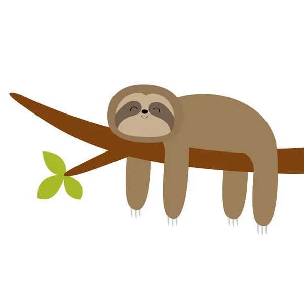 Sloth Hangend Aan Boomtak Leuke Stripfiguur Wilde Knuffeldier Collectie Baby — Stockvector