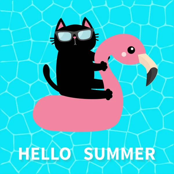 Halo Summer Air Kolam Renang Kucing Hitam Mengambang Kolam Renang - Stok Vektor