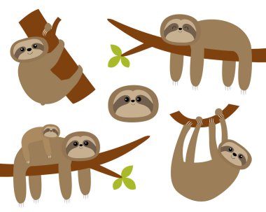 Sloth set. Hanging on tree branch leaf. Cute cartoon kawaii funny lazy character. Mother and baby. Wild joungle animal collection. Kids education. Isolated. White background. Flat design. Vector clipart