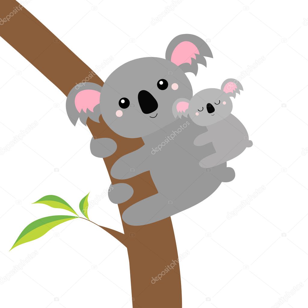 Koala bear face head on the tree branch. Cute cartoon funny baby character. Mother and baby. Kawaii animal. Notebook cover, t-shirt print. Love Greeting card. Flat design. White background. Vector