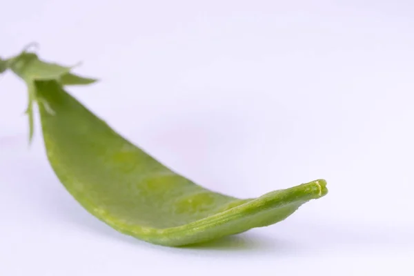 Snow pea isolated on a white background — Stock Photo, Image