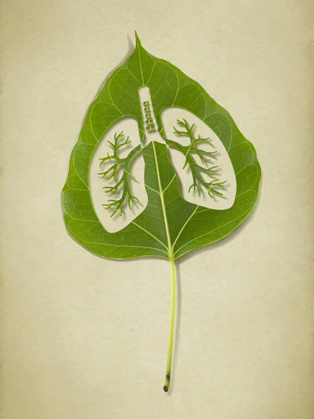 Yeşil yaprak, akciğerler, siluet, çevre konseptini kaydet