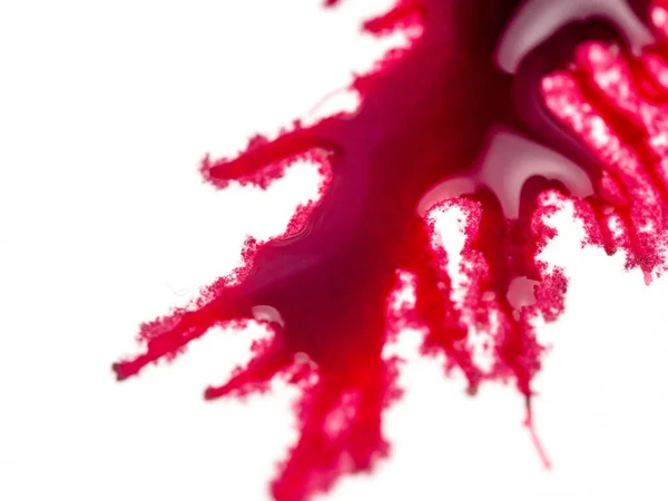 红漆的痕迹渗入白纸背景模仿有机细胞的概念 闭合色彩 图库照片