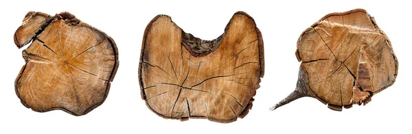 Primer Plano Del Tronco Del Árbol Cortado Madera Cortada Textura Imagen de archivo