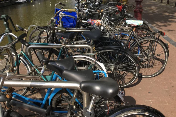 Cykel Parkering Vid Vattnet Amsterdam Nederländerna Begreppet Ekologi Och Hälsosam — Stockfoto
