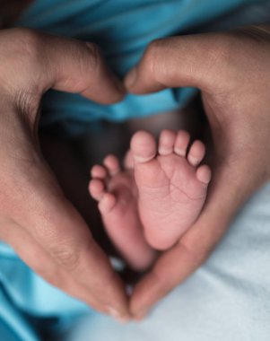 feet of a newborn child in the hands of parents. Parental care, parental love