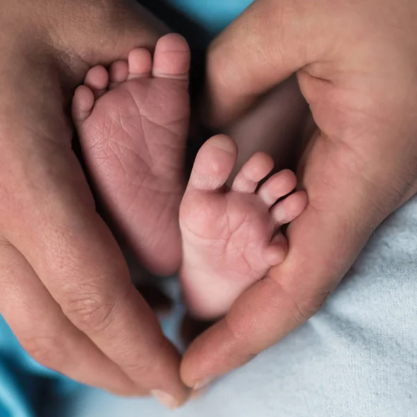 feet of a newborn child in the hands of parents. Parental care, parental love