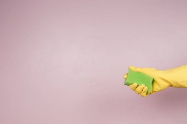 Eldivenli bir el dezenfeksiyon için sünger tutar. Dezenfeksiyon ve hijyen konsepti, salgın ve daha fazlası bağlamında.