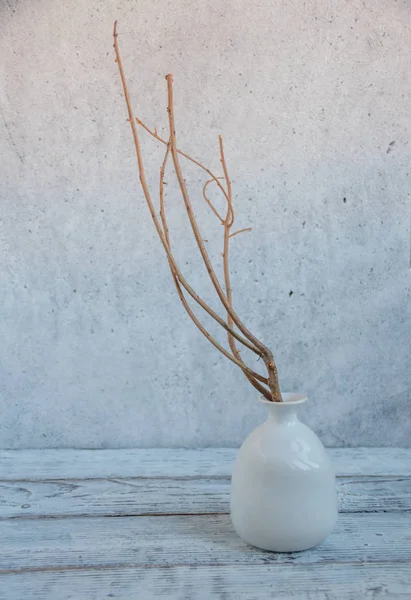 Ramo Seco Vaso Branco Backgound Cinza — Fotografia de Stock