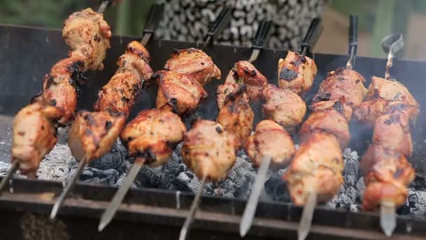 Pork or lamb meat pieces being fried on a charcoal grill — Stock Video