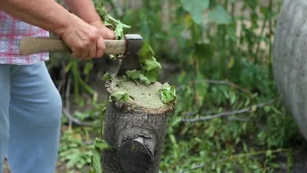 Woman cuts ax a branch in the garden. — Stock Video