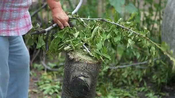 Mujer corta hacha una rama en el jardín . — Vídeos de Stock