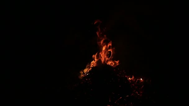 Bonfire.  Burning Fire. — Stock Video