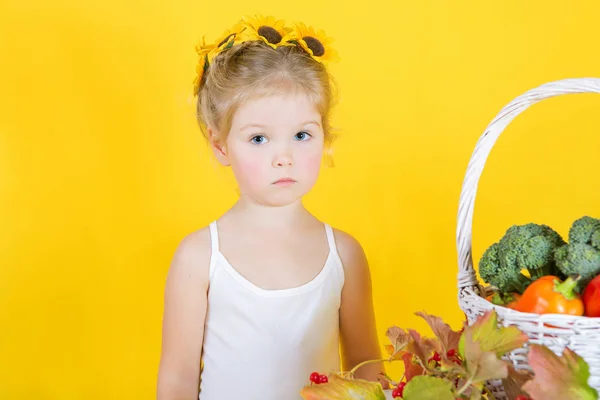 Beautiful little happy girl with basket of vegetables and fruits — Stock Photo, Image