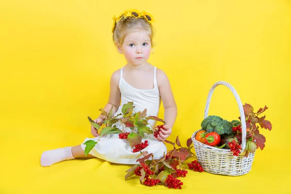 Schöne kleine glückliche Mädchen mit Korb mit Gemüse und Obst — Stockfoto