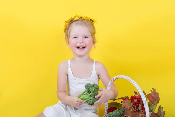 Beautiful little happy girl with basket of vegetables and fruits — Stock Photo, Image