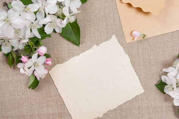 Tarjeta con sobre beige y flores blancas de manzano sobre tela beige . —  Fotos de Stock