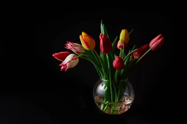 Czerwone Żółte Kolorowe Tulipany Szklanym Wazonie Czarnym Tle — Zdjęcie stockowe