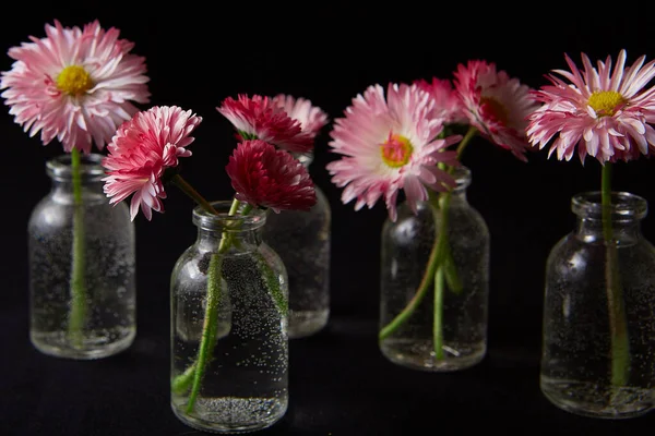 Blommor Glas Vaser Svart Bakgrund — Stockfoto