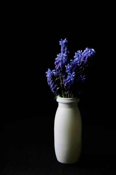Blue flowers in vase on black background