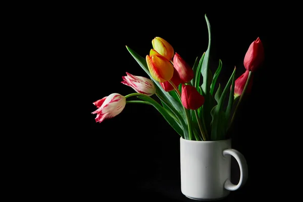 Tulipes Rouges Jaunes Colorées Tasse Blanche Sur Fond Noir — Photo