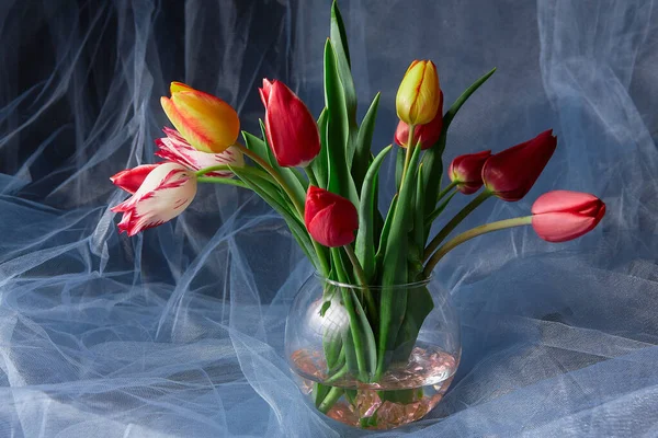Červené Žluté Barevné Tulipány Skleněné Váze Abstraktním Pozadí — Stock fotografie