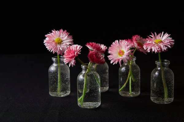 Blommor Glas Vaser Svart Bakgrund — Stockfoto