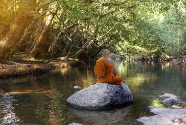 Buda keşişi ormanda nehrin kenarında meditasyon yapıyor. 