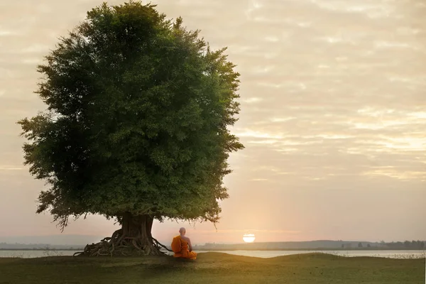 Monje budista en meditación bajo el árbol a la hermosa puesta de sol o —  Fotos de Stock