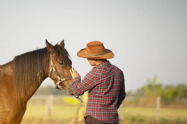 Cowboy e cavalo marrom no campo verde no dia ensolarado — Fotografia de Stock