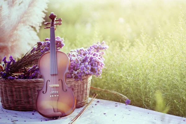 Classic Violin Flower Garden Stock Photo