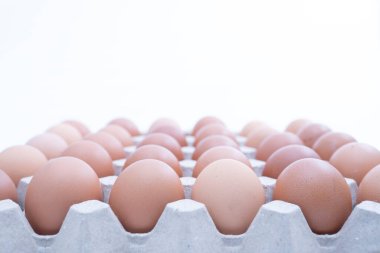 Beyaz arka planda yumurta kutusunda yakın plan tavuk yumurtaları.