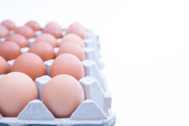 Beyaz arka planda yumurta kutusunda yakın plan tavuk yumurtaları.