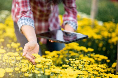 Renkli çiçek ve çiftçi tablet kalitesini kontrol ediyor, akıllı çiftlik konsepti