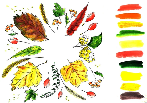 Acquerello autunno natura set. acquerello stagione carta da parati illustrazione . — Foto Stock