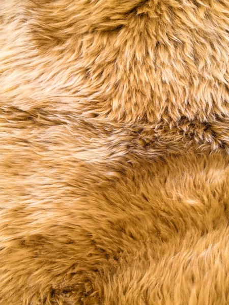 Brown soft wool texture background, cotton wool, light natural sheep wool, close-up texture of white fluffy fur — 스톡 사진