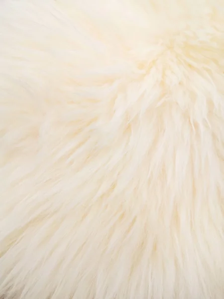 Vit mjuk ull konsistens bakgrund, bomull ull, ljus naturlig fårull, närbild textur av vit fluffig päls — Stockfoto