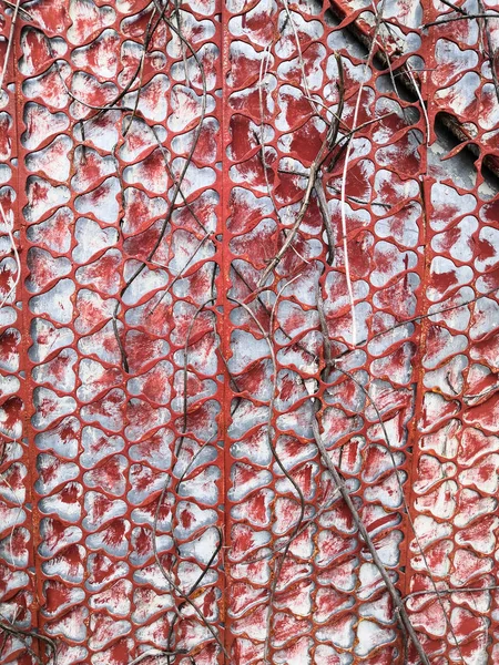 Wire mesh fence with wet wood shutters behind. Red abstract background. — 스톡 사진