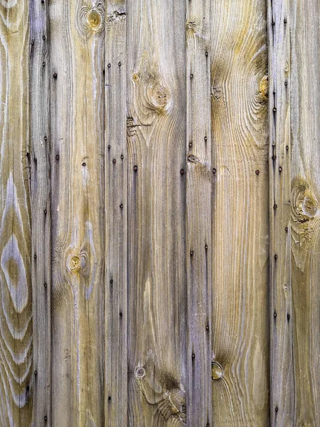 Wooden texture close up photo. White and grey wood background.