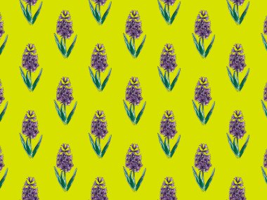 Suluboya çizim efektiyle güzel bir mor sümbül. Yeşil arkaplan deseninde izole edilmiş çiçek