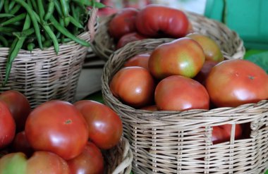  Güvenlik tarım fuarında sebze