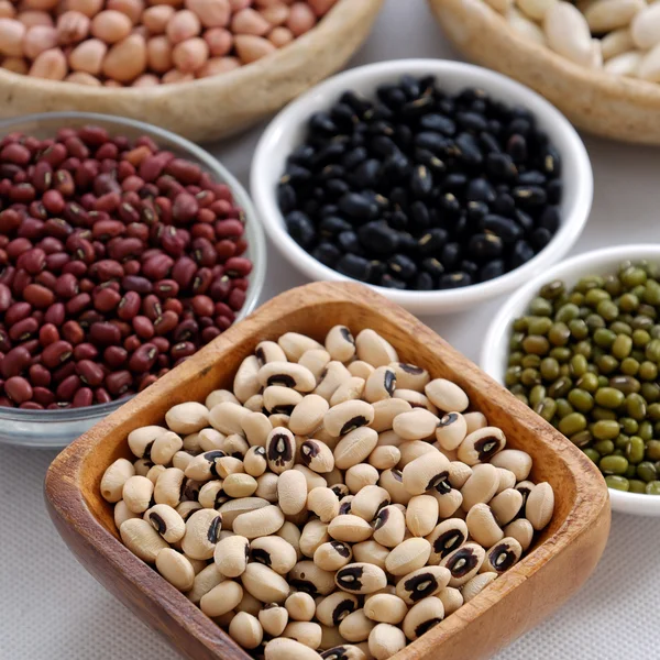 Collection of bean on white background — Stock Photo, Image