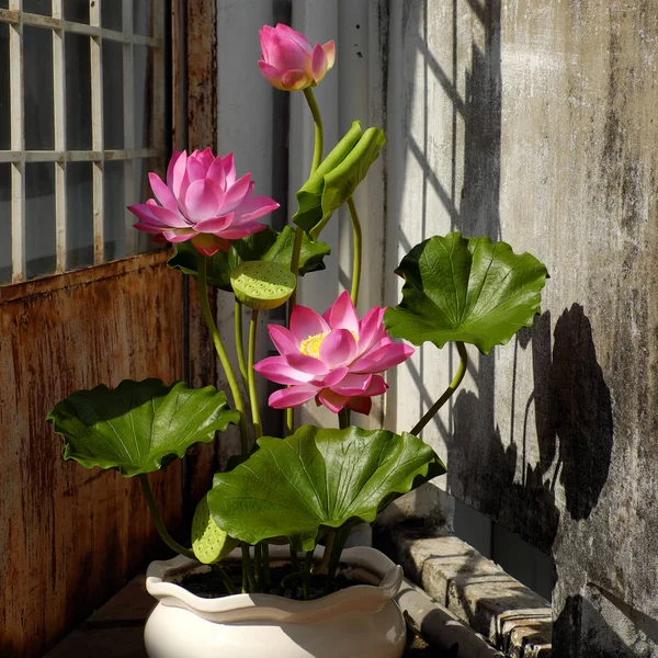 Штучна квітка, квітка лотоса з глини — стокове фото