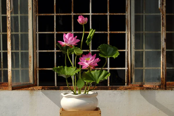 人工花、粘土から蓮の花 — ストック写真