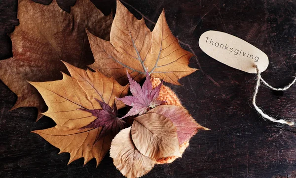 Thanksgiving background with dried maple leaf — Stock Photo, Image