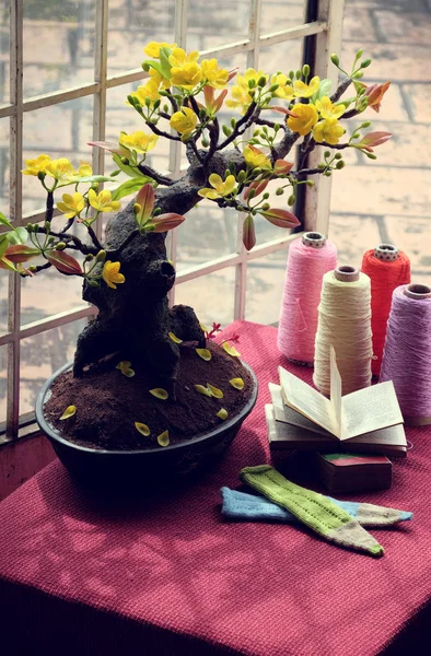 Espacio de estudio cerca de ventana en primavera — Foto de Stock